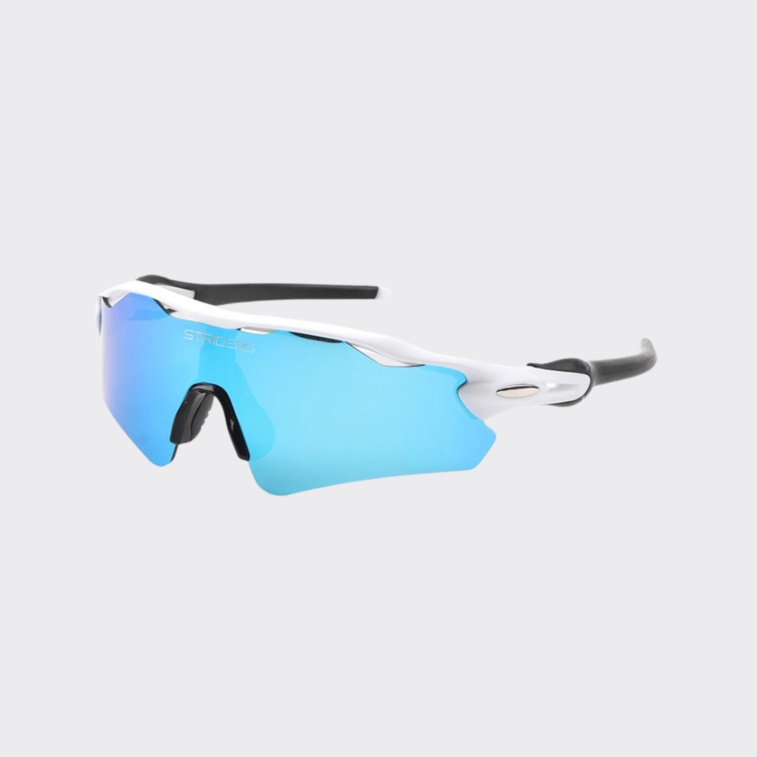 S1 ARCTIC